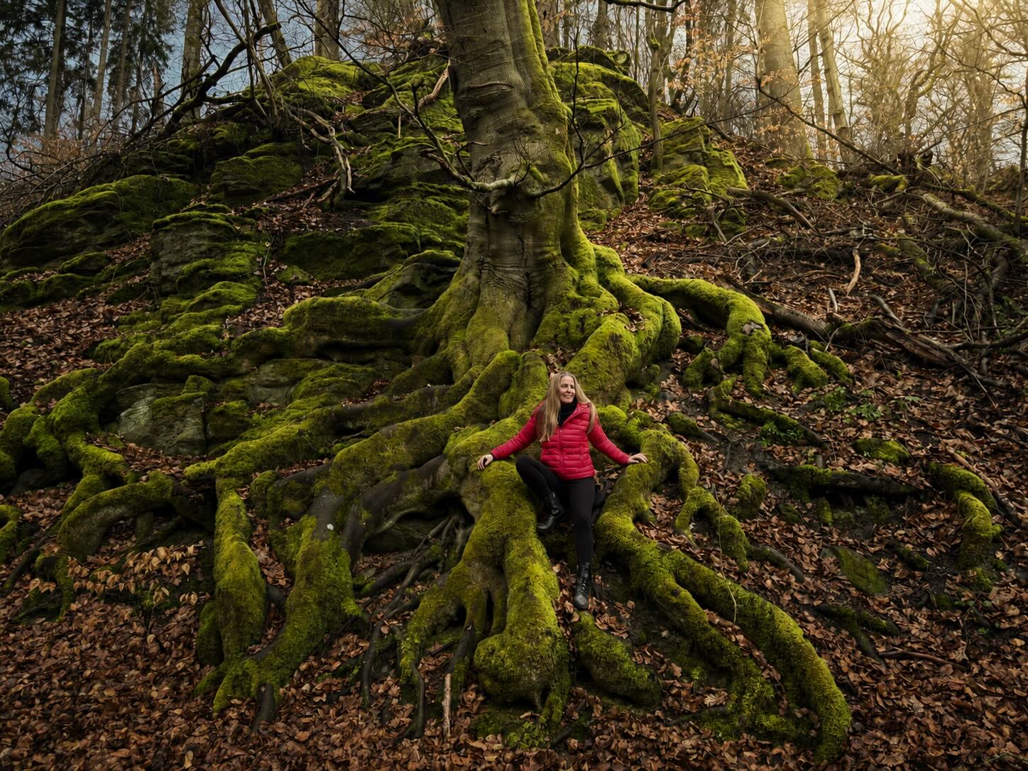 Spirituell Selbstbestimmt – Frau sitzt unter dem Weltenbaum in mystischem Wald